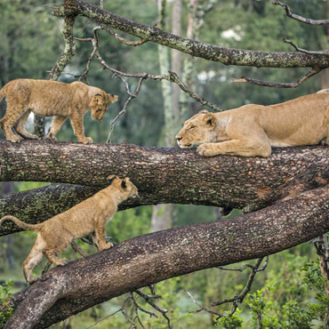 tour-listing-details-slide