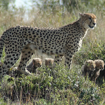 tour-listing-details-slide