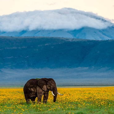 tour-listing-details-slide