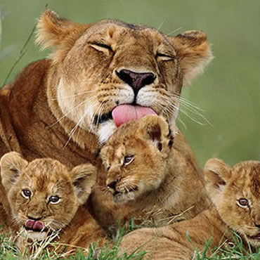 tour-listing-details-slide