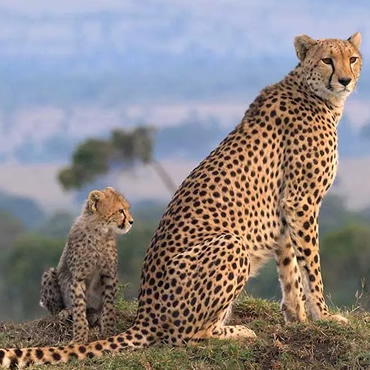 tour-listing-details-slide