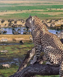 The complete kindearn design guideline 2023