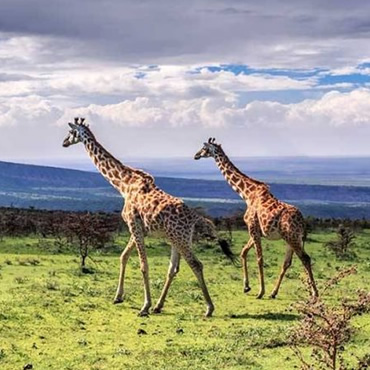 tour-listing-details-slide