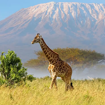 tour-listing-details-slide