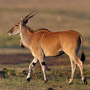 tour-listing-details-slide