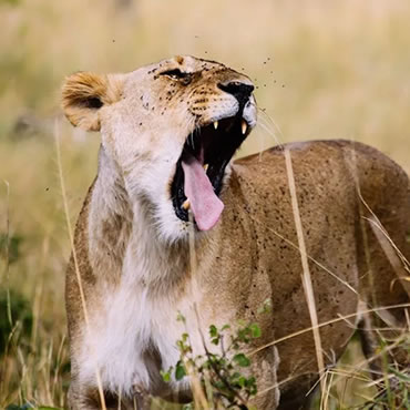 tour-listing-details-slide