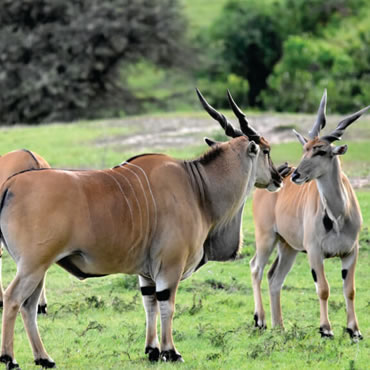 tour-listing-details-slide