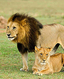 The complete kindearn design guideline 2023