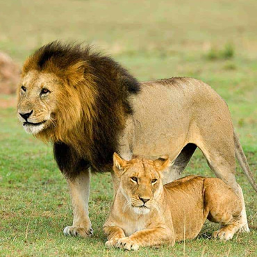 tour-listing-details-slide