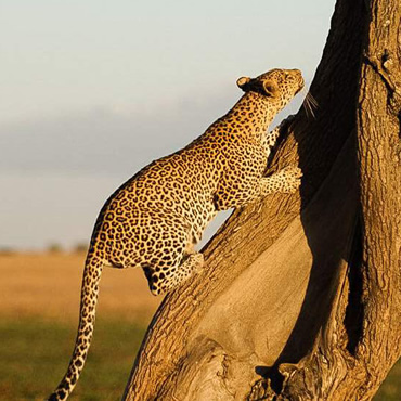 tour-listing-details-slide