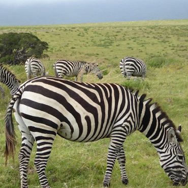 tour-listing-details-slide