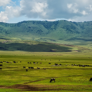 tour-listing-details-slide