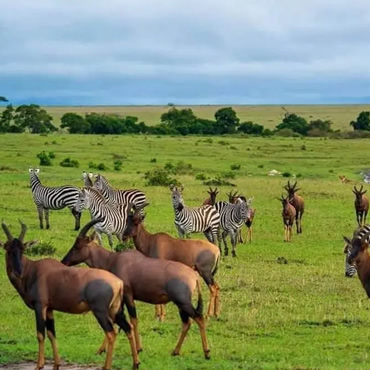 tour-listing-details-slide