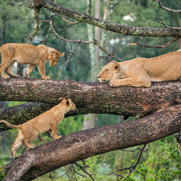 tour-listing-details-slide