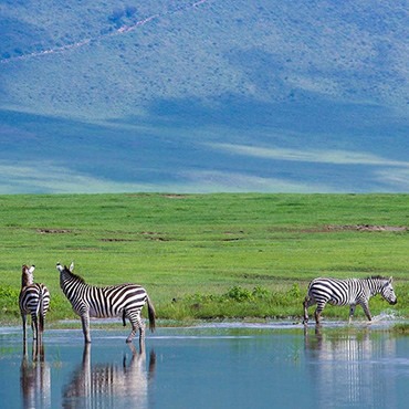 tour-listing-details-slide