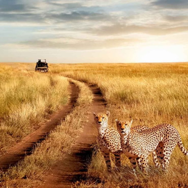 tour-listing-details-slide