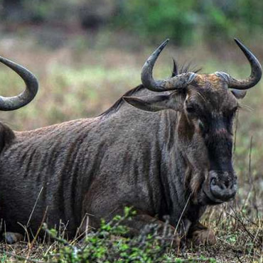 tour-listing-details-slide