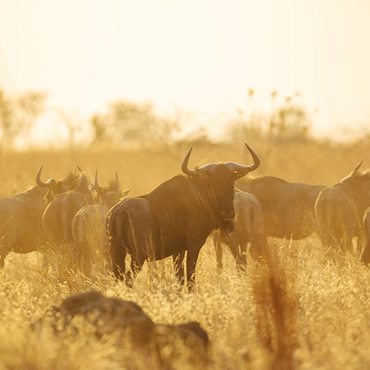 tour-listing-details-slide