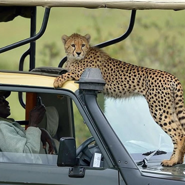 tour-listing-details-slide