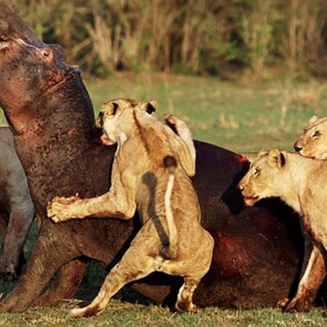 tour-listing-details-slide