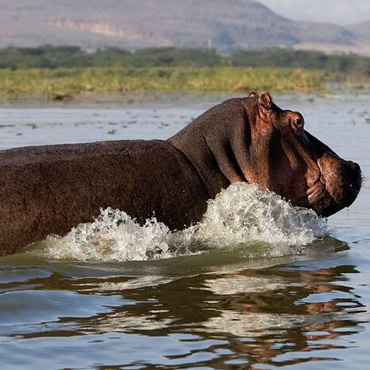 tour-listing-details-slide