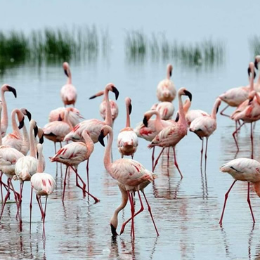 tour-listing-details-slide