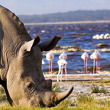 tour-listing-details-slide