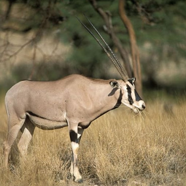 tour-listing-details-slide