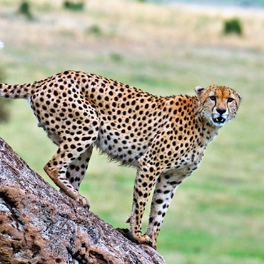 tour-listing-details-slide