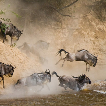 tour-listing-details-slide