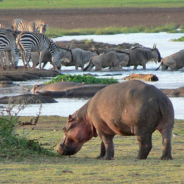 tour-listing-details-slide