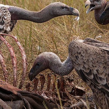 tour-listing-details-slide