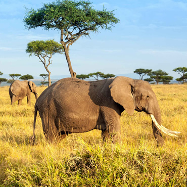 tour-listing-details-slide