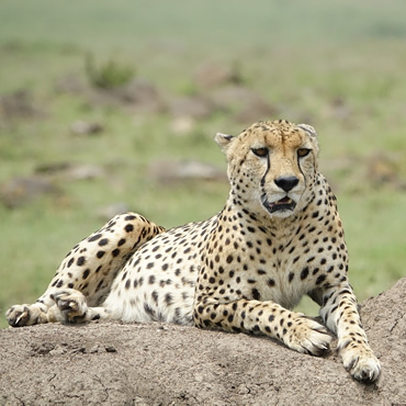 tour-listing-details-slide