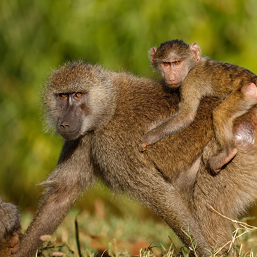 tour-listing-details-slide