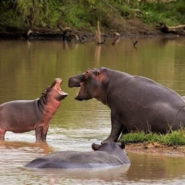 tour-listing-details-slide