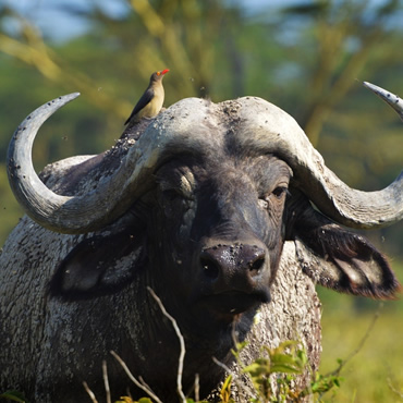 tour-listing-details-slide