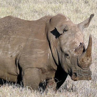 tour-listing-details-slide