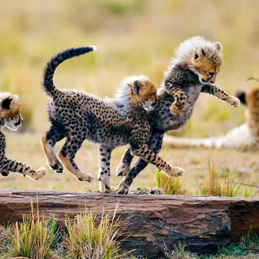 tour-listing-details-slide