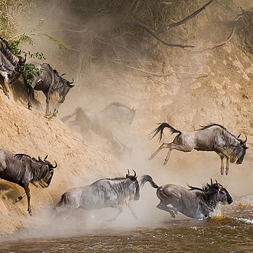 tour-listing-details-slide