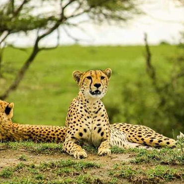 tour-listing-details-slide