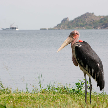 tour-listing-details-slide