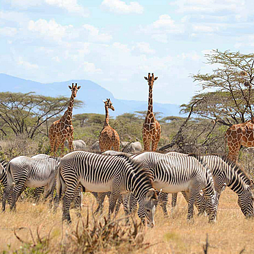 tour-listing-details-slide