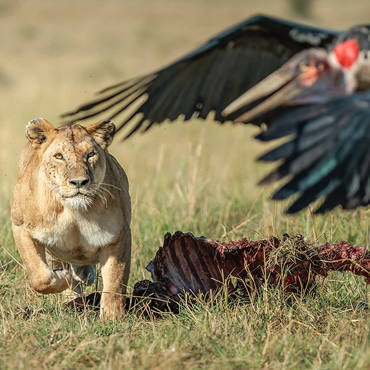 tour-listing-details-slide